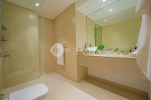 Shower, hair dryer, towels