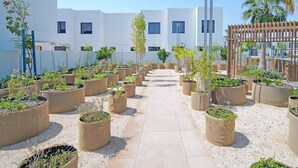 Un jardín en la azotea con plantas en macetas dispuestas en filas, un sendero despejado y un edificio moderno al fondo.