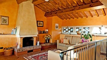 Smart TV, caminetto, lettore DVD, libri