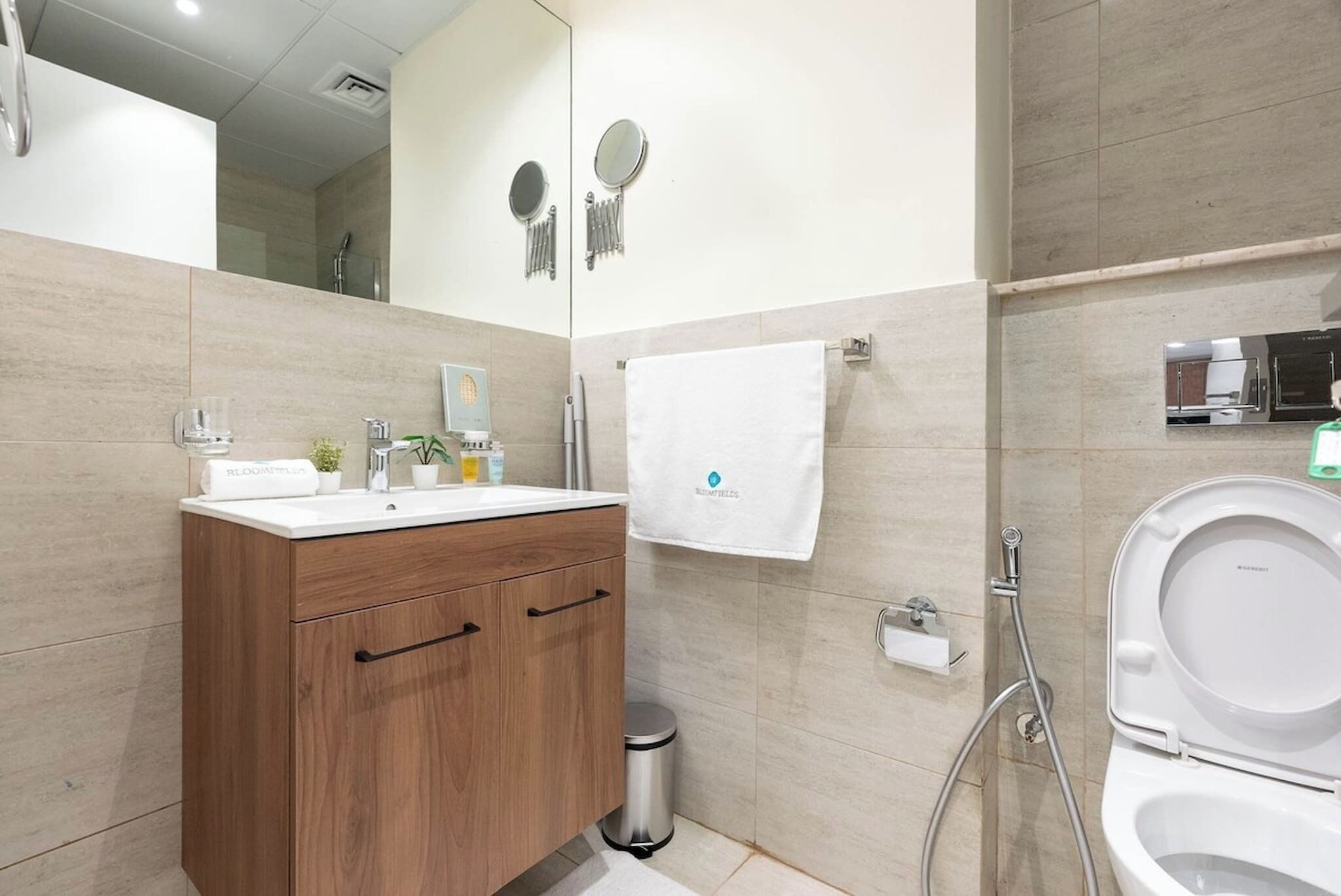 Shower, hair dryer, towels