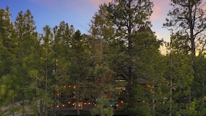 Un chalet entouré de grands pins, au crépuscule.