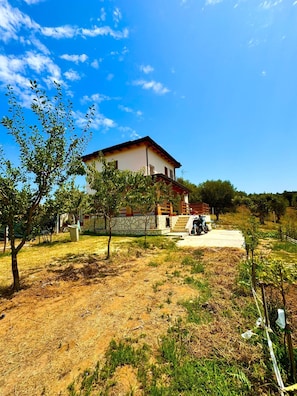 Property grounds - Kitty House (Spilinga)