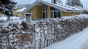 Ein modernes Haus mit Satteldach, großen Fenstern und einem Schornstein.