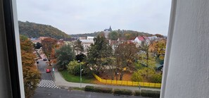 View from property - MVA House Teplice (Teplice)