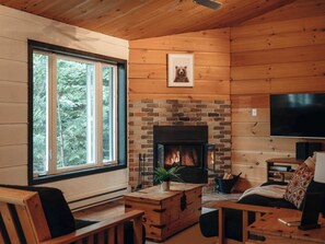 TV, fireplace, books
