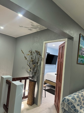 Iron/ironing board, WiFi, bed sheets. Charming villa in enchanting Blackrock with WiFi, AC