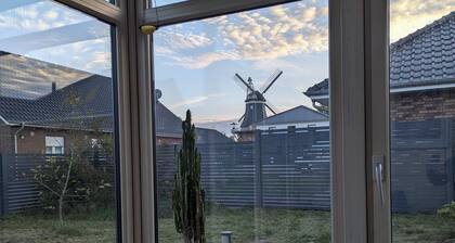 Vacation home Magnolia Möhlenwarf - conservatory and garden 4 persons + pet