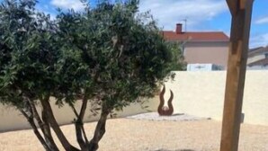Un pequeño árbol en maceta, un poste de madera y un edificio al fondo.