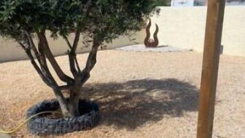 Terrein van de accommodatie