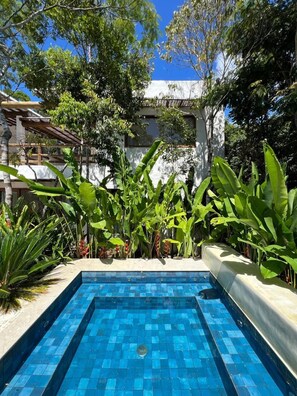 A rectangular swimming pool with blue tiles, surrounded by lush greenery and a white building in the background.