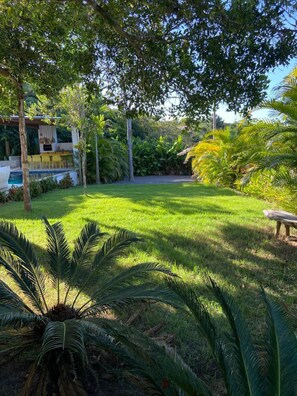 A lush garden with a pool, palm trees, and a covered seating area.