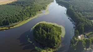 Vista aérea de un río rodeado de bosques densos, con una pequeña isla en el centro.