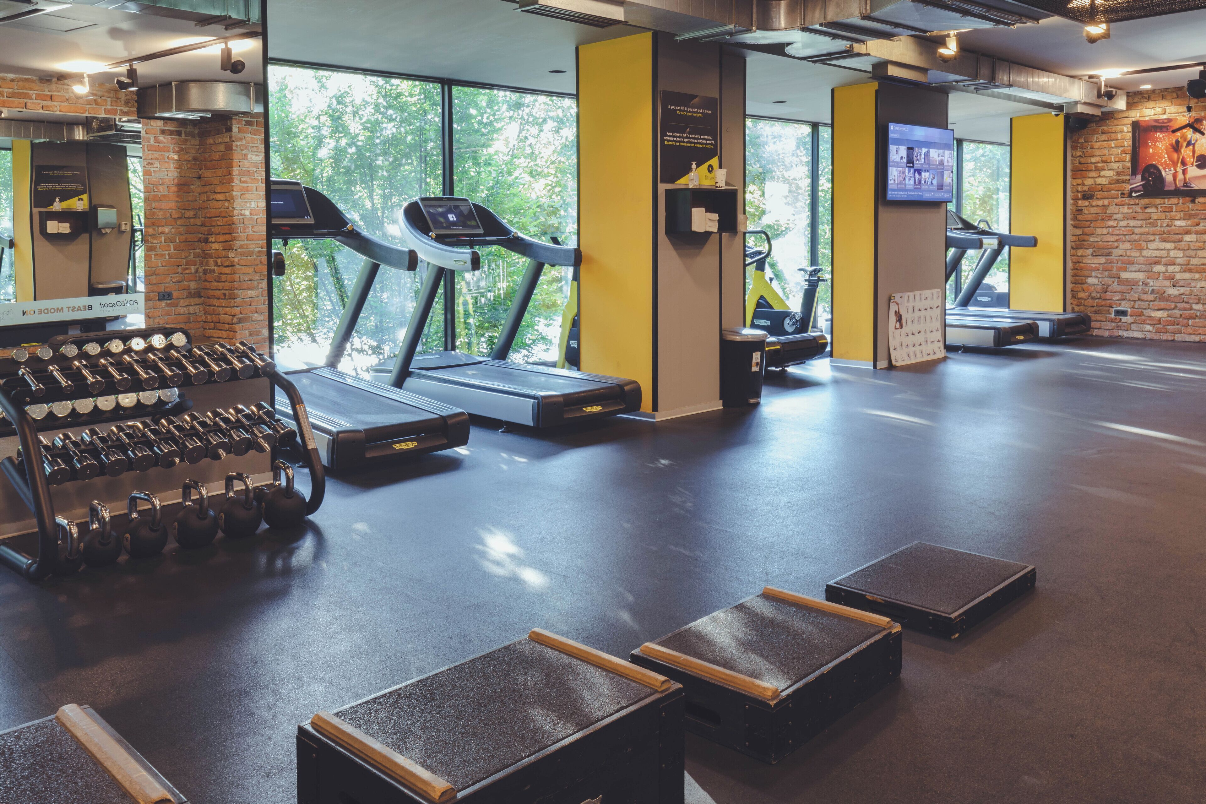 Un gimnasio con cintas de correr, mancuernas y discos de pesas.