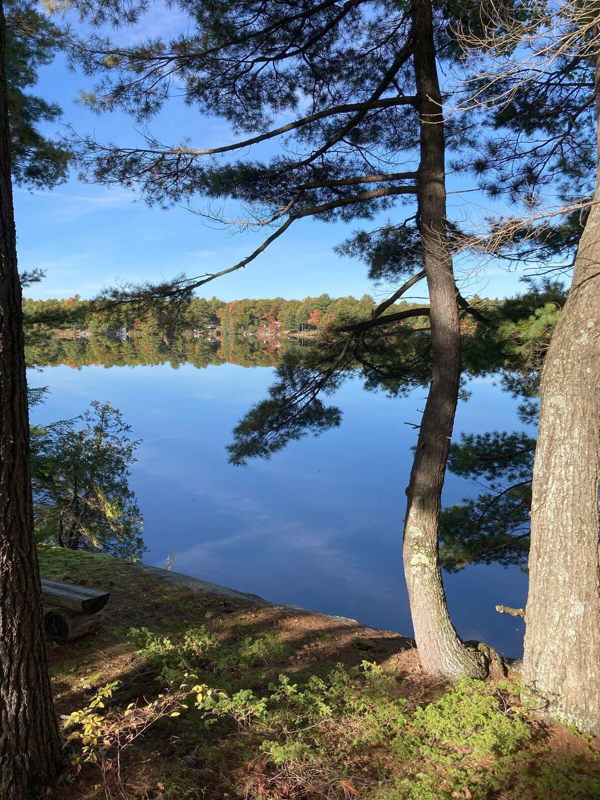 Imagen de perfil del propietario o de la propietaria