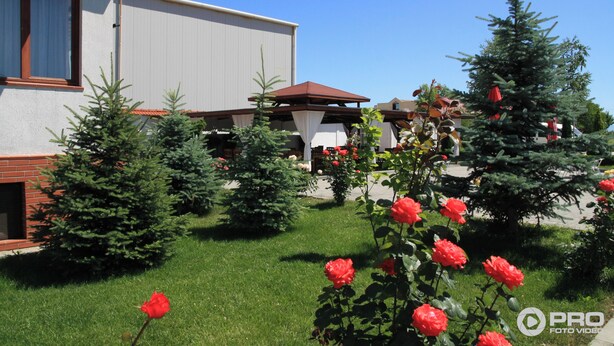Ein Wohngebiet mit einem Haus, einem kleinen Garten und einem Weihnachtsbaum.