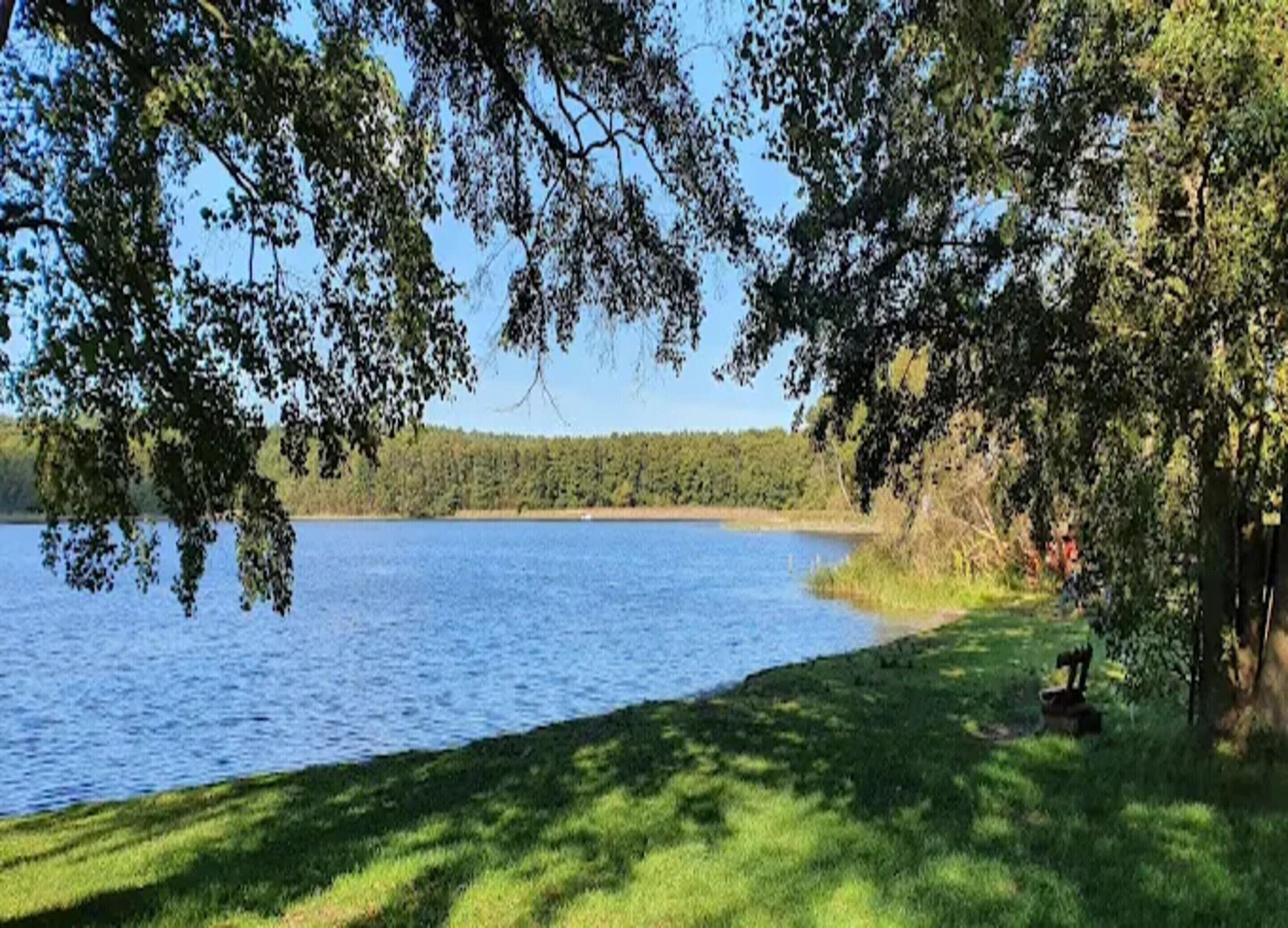 A lakeside view with a grassy area and trees.