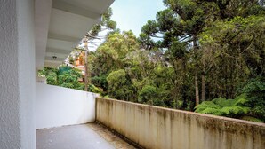 Un balcón con vista a árboles densos y un muro de concreto.