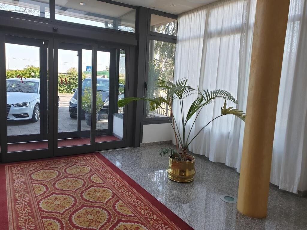 A hotel lobby with a red patterned carpet, a potted plant, and a view of parked cars through glass doors.