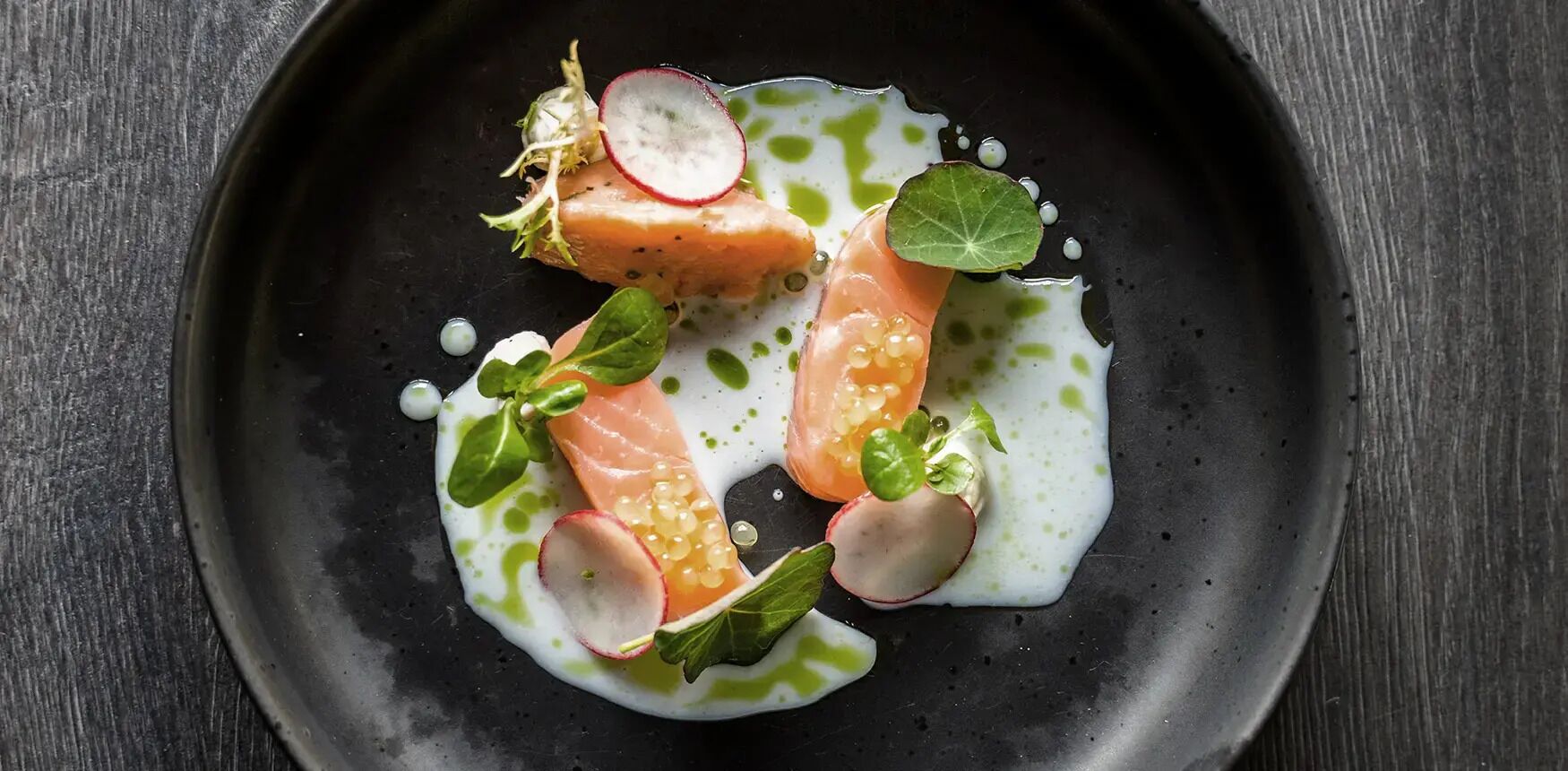 A plate with salmon, radishes, and greens on a dark plate.