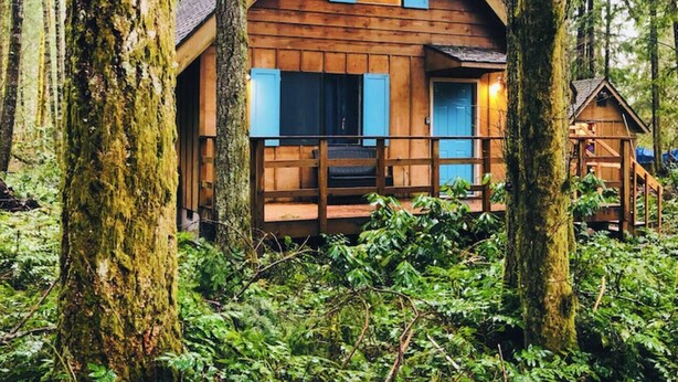 A wooden cabin with a pitched roof, surrounded by tall trees and dense underbrush.