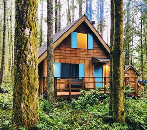 Una cabaña de madera con techo a dos aguas, rodeada de árboles altos y sotobosque denso.