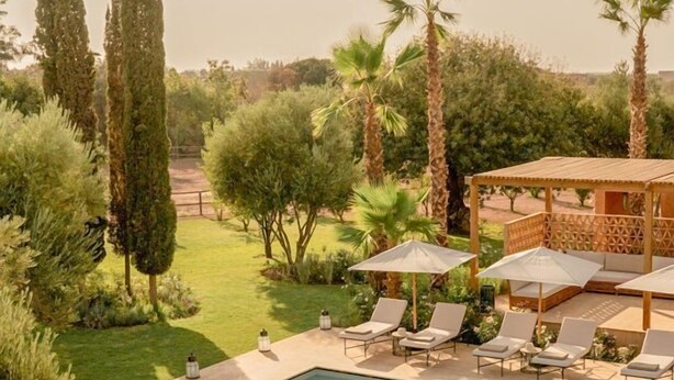 Un espace piscine agrémenté de chaises longues et de parasols, entouré d’arbres et d’une pergola en bois.