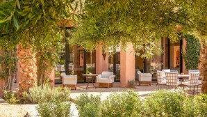 Un espace extérieur aménagé avec des tables et des chaises, entouré de verdure et de colonnes architecturales.