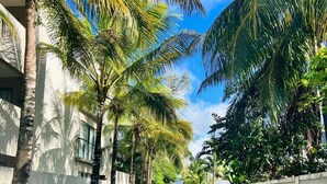 A narrow street lined with palm trees and buildings. - Salty Chateau: Private Exquisite Mauritian Getaway (Cap Malheureux)