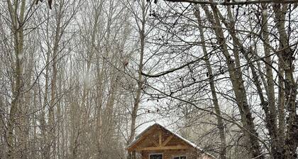 Montana's Tranquil Dry Creek Hideaway