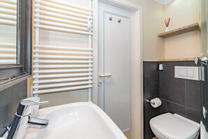 Shower, hair dryer