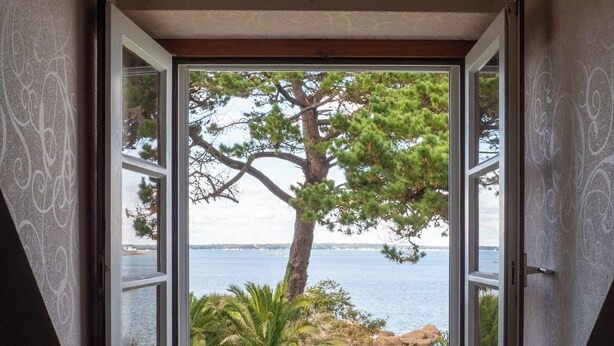 A window with a view of a tree and water.