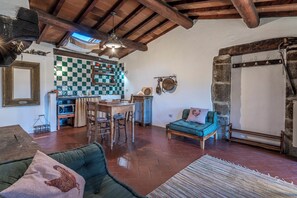 Smart TV, fireplace - Casa Anita apartment in farmhouse with swimming pool surrounded by greenery (Toscana)