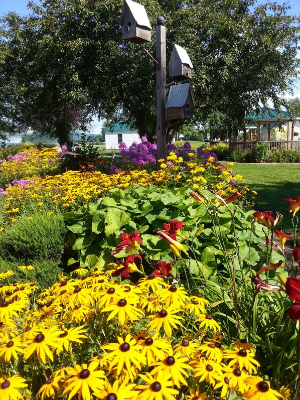 Property grounds - Cozy cottage in charming Ferrisburgh with WiFi and Heat/AC (Vergennes)