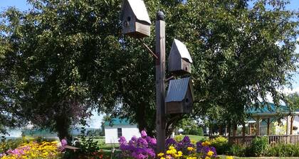 Cozy cottage in charming Ferrisburgh with WiFi and Heat/AC