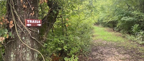 A dirt trail with a sign indicating 'TRAILS' pointing to the left.