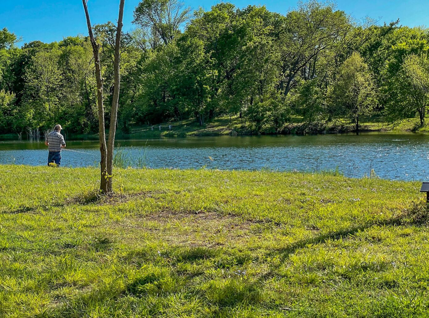 A grassy area with a pond and trees.