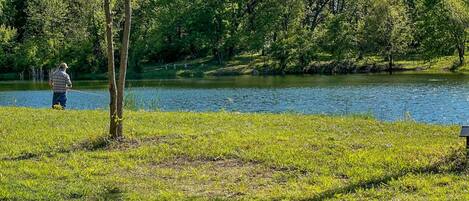 A grassy area with a pond and trees.