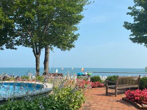 Outdoor pool - Charming 4-bedroom house near the Lakeside pool & pickleball courts (Lakeside)