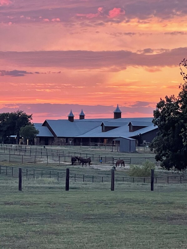 Miscellaneous - Charming 3 bedroom Farmhouse with amazing views in Whitesboro, Texas. (Whitesboro)