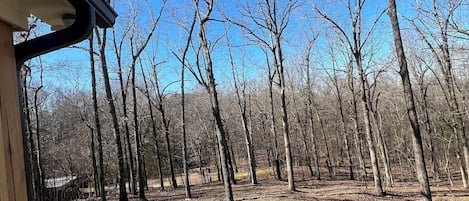 Àrea exterior de l'allotjament