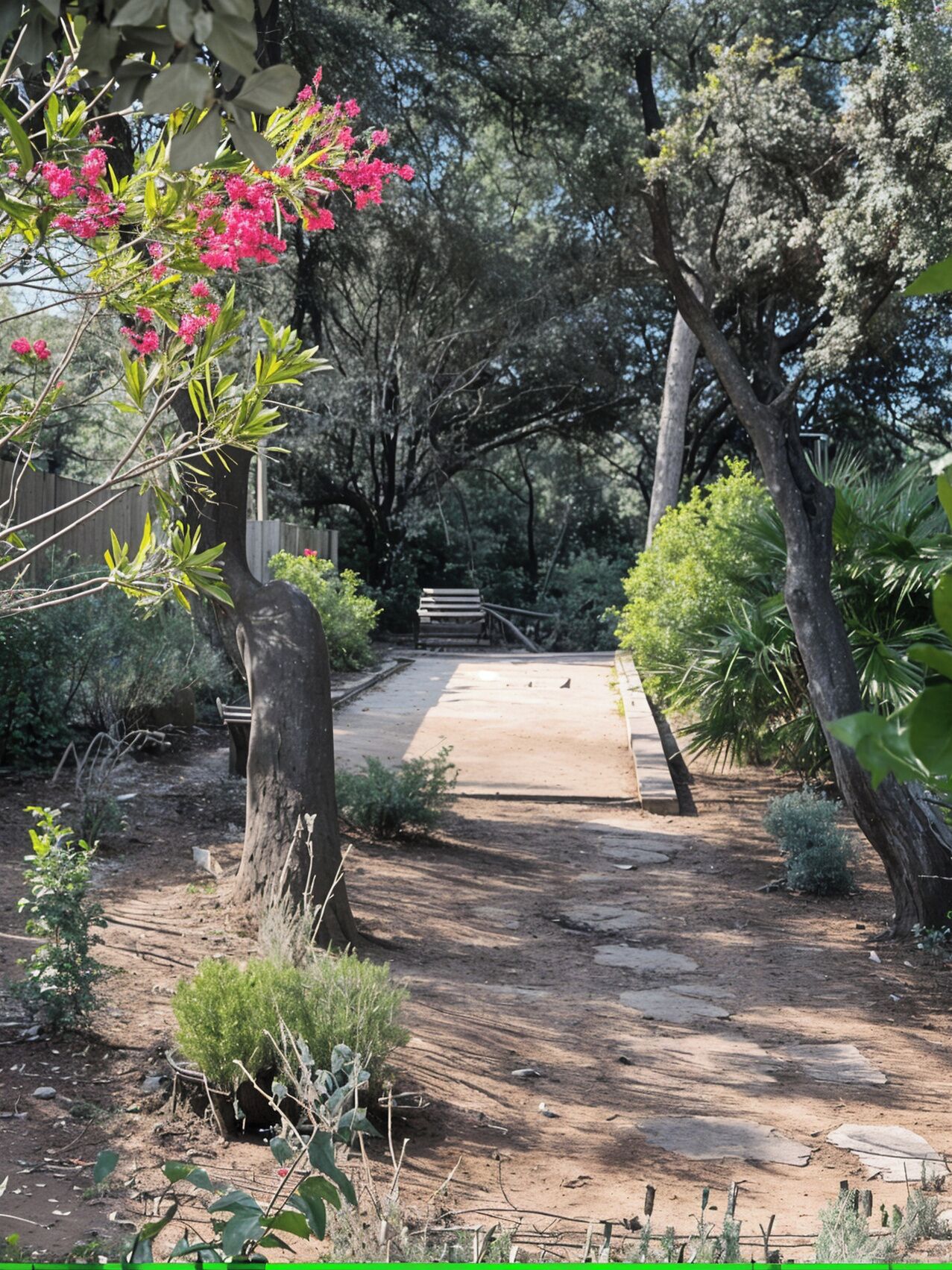 Un sentier de terre mène à un espace agrémenté de bancs, entouré d’arbres et d’arbustes.