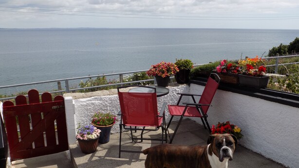 A balcony with a view of the sea, a red gate, and potted plants.