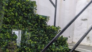 A staircase with a metal railing, surrounded by green foliage.