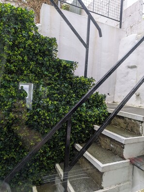 Property grounds - Widows Row Cottage, Historic Harbour Property, Panoramic Sea Views, DOG Friendly (Newcastle)