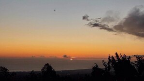 Zonsondergang boven een wateroppervlak, met silhouetten van bomen op de voorgrond.