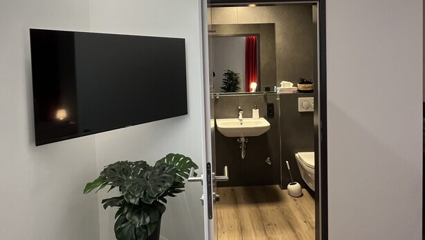 Moderni kylpyhuone, jossa on pesuallas, wc ja peili. Pienellä pöydällä, joka on sijoitettu pesualtaan viereen, on ruukussa oleva kasvi.
