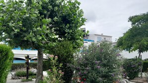 En have med forskellige planter og blomster, en grussti og en bygning i baggrunden.