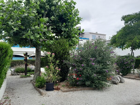 En trädgård med olika växter och blommor, en grusgång och en byggnad i bakgrunden.