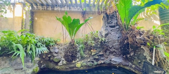 Charming 4-bedroom bed & breakfast in lovely Hindagala with WiFi, AC