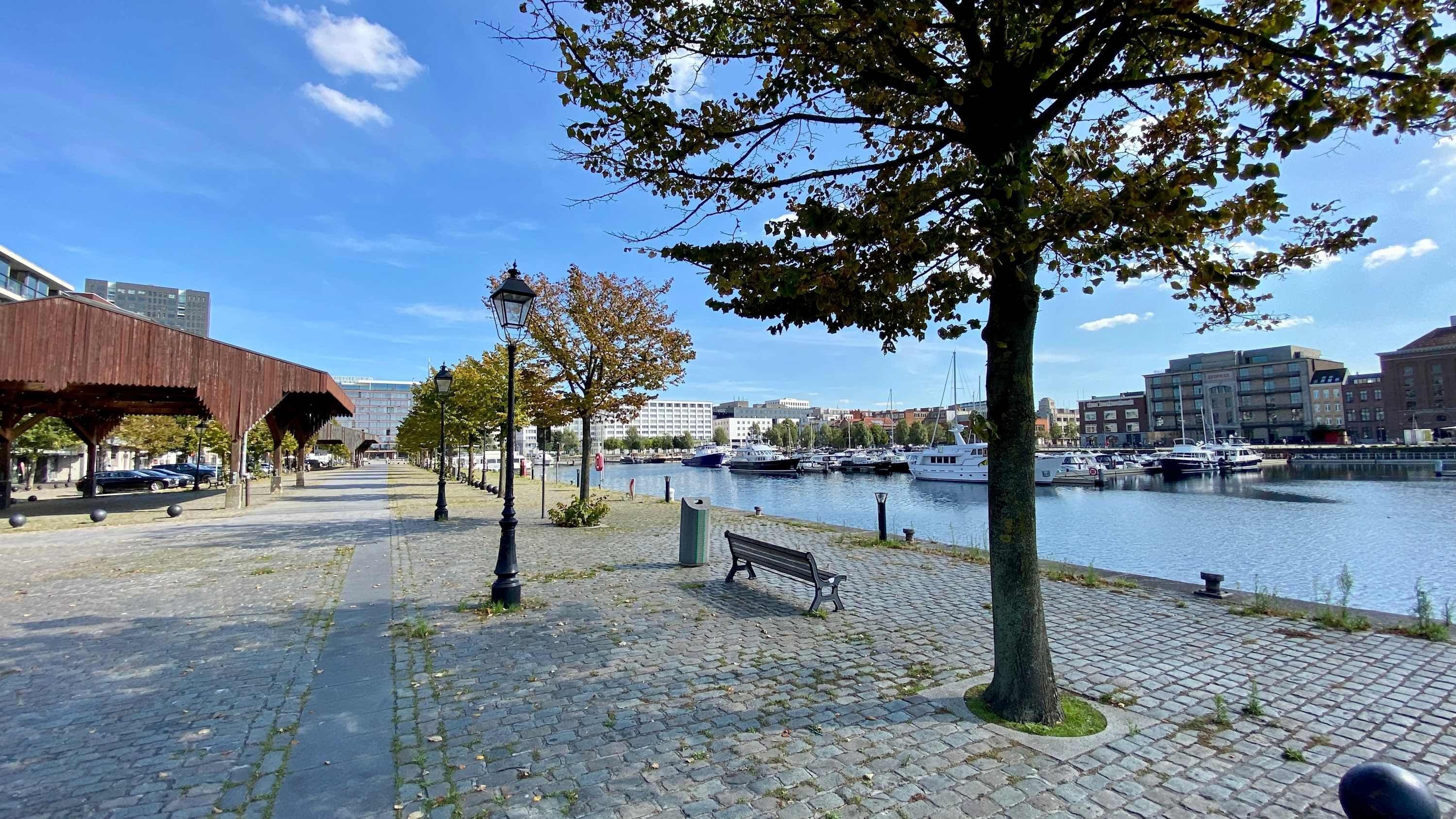 アパートメント | 1 室のベッドルーム